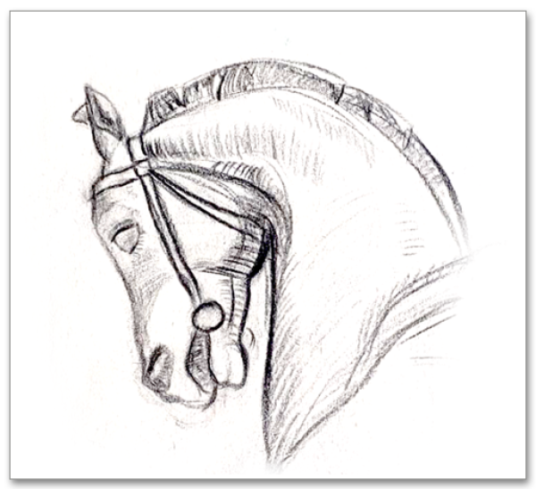 Cours de dessin à PALAISEAU 